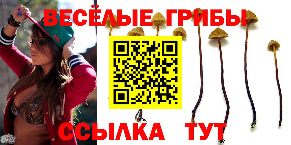Псилоцибиновые грибы MAGIC MUSHROOMS  Вход с VPN  Ревда 