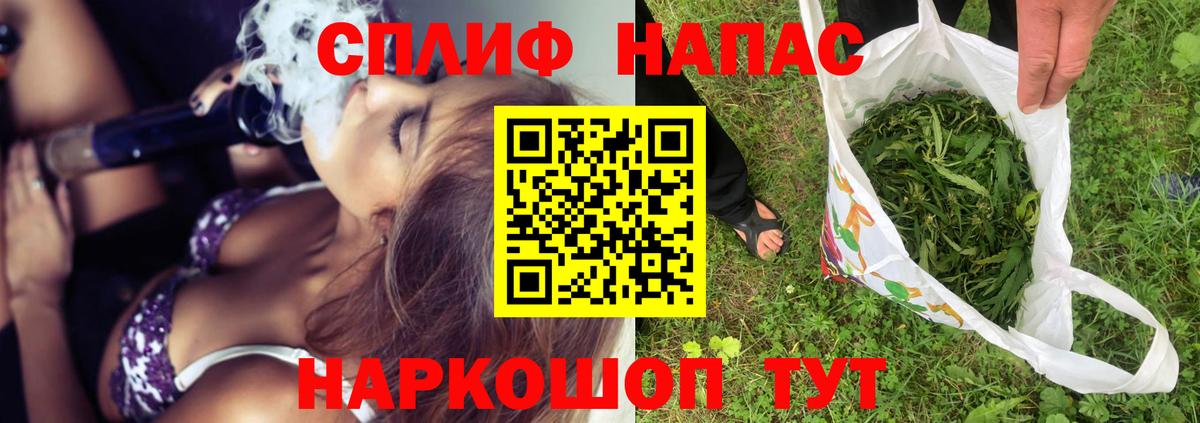 Бошки Шишки план Ревда